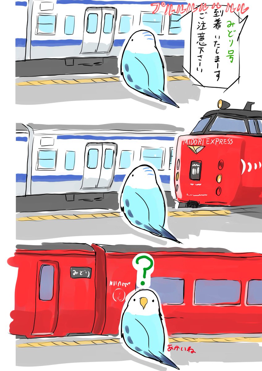 ほし（旅イラスト＆水中写真） tweet media