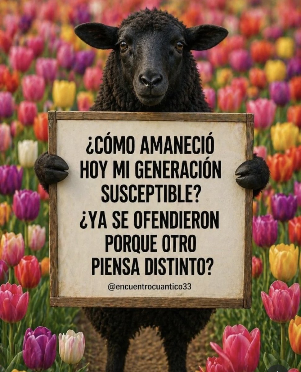 🜲 ₦₳₮ 🜲 tweet media