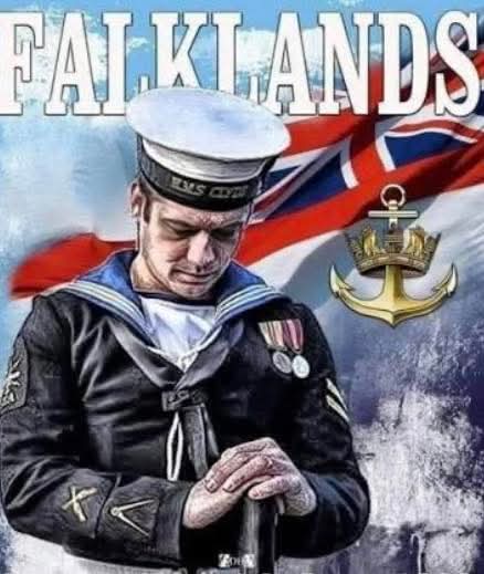 Yorkie 'B' 🏴‍☠️ RN VD and Scar..🇬🇧 tweet media