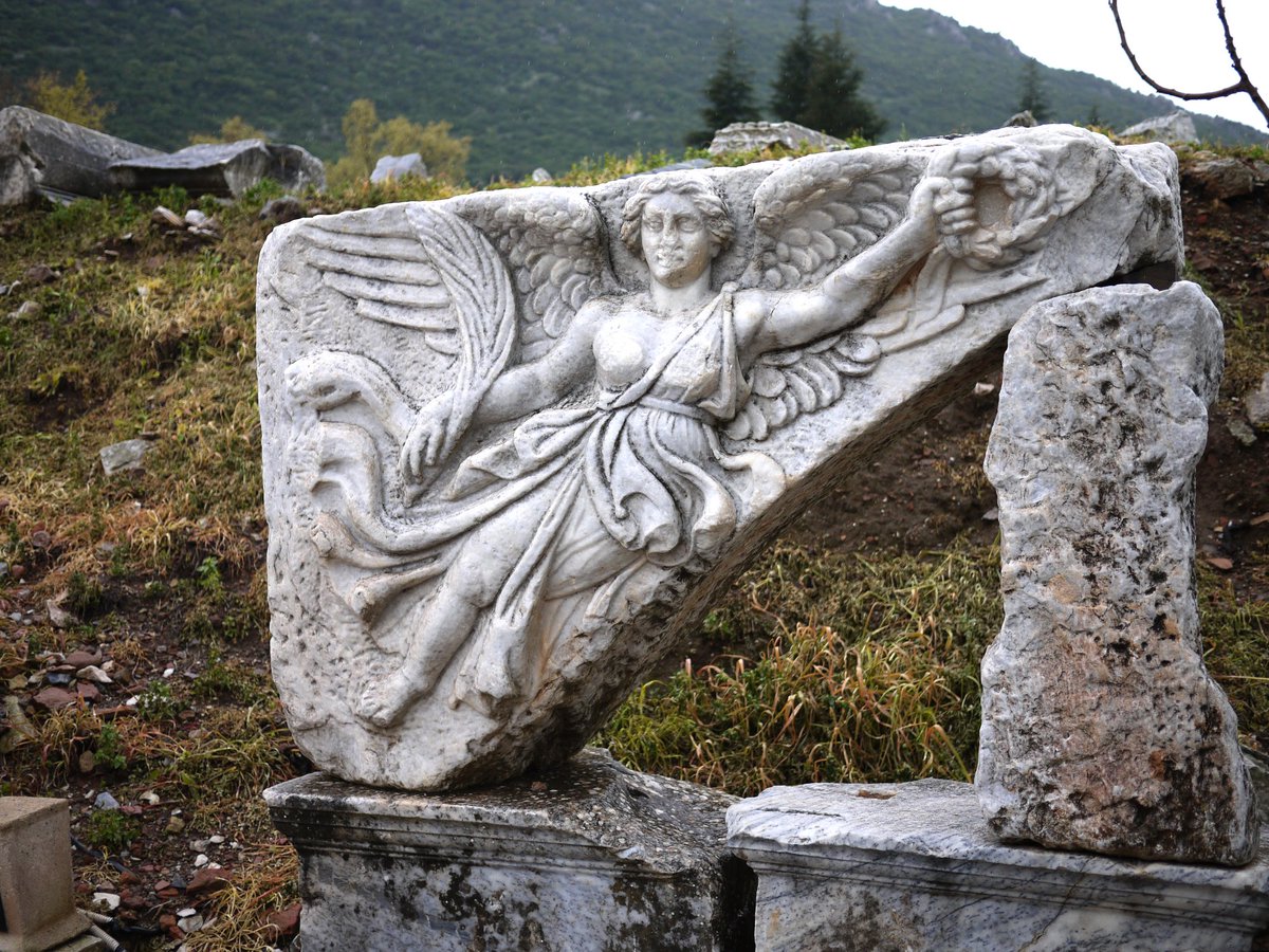 Ghost of Hellas tweet media