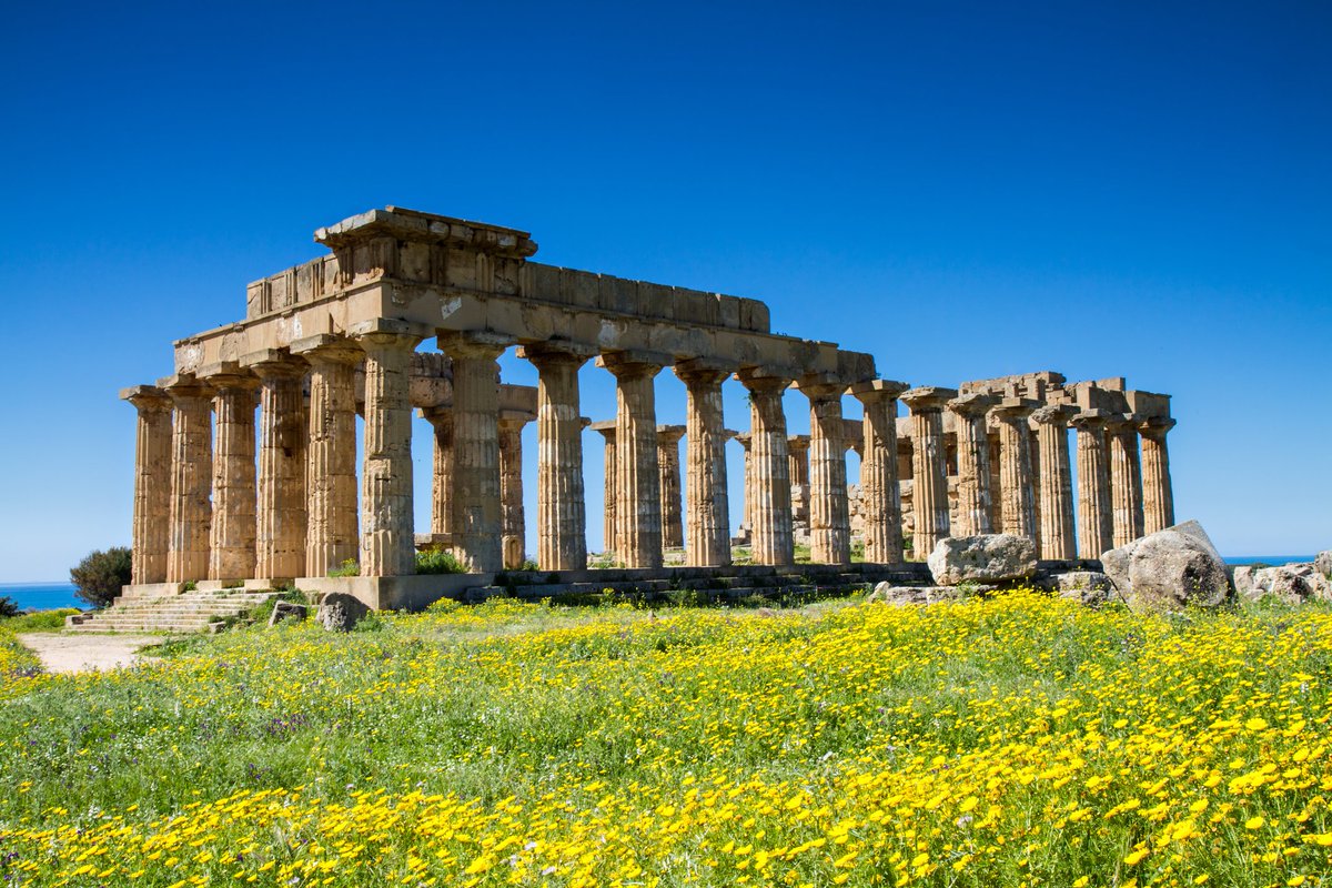 Ghost of Hellas tweet media