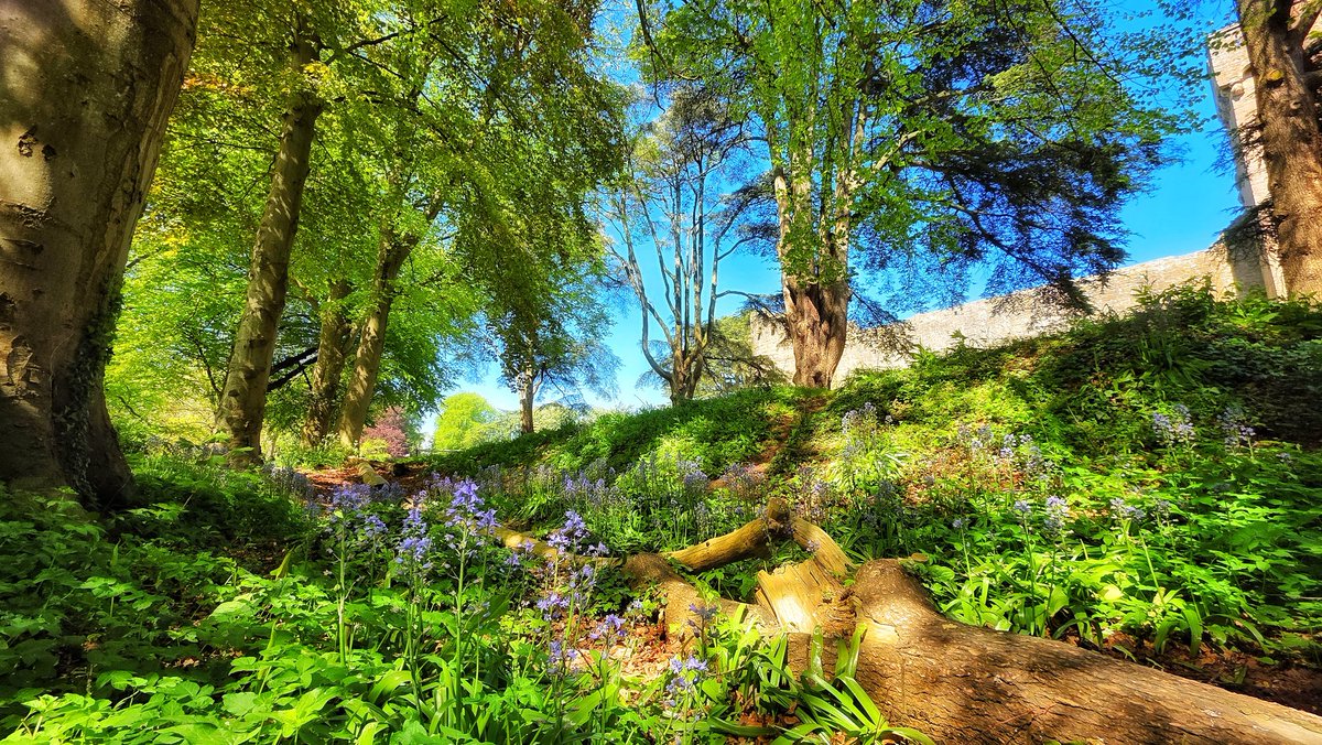 ItsYourWales's tweet image. Stunning spring colours at Caldicot Castle in Monmouthshire.  This lovely photo courtesy 
@missmayo1984 #Wales #WelshPassion