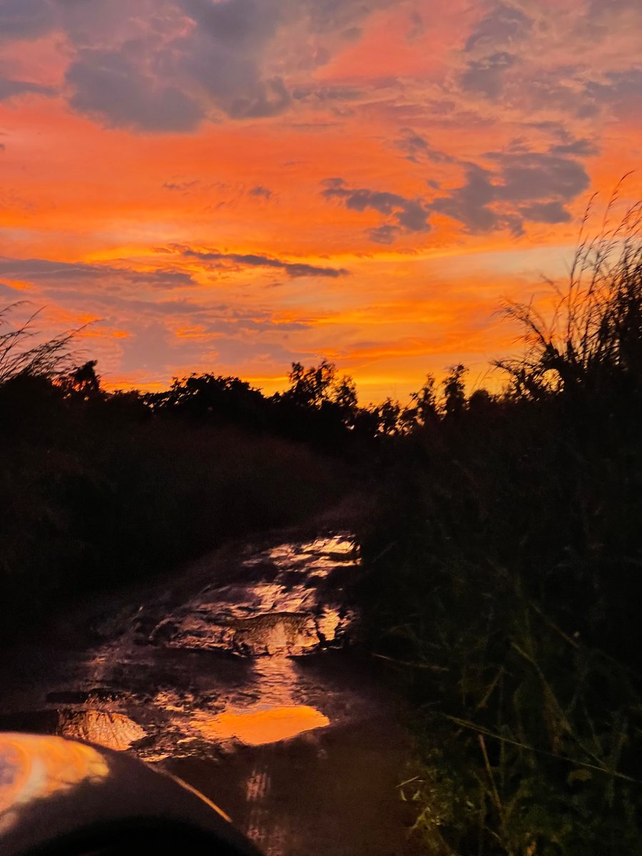 Vue crépusculaire du chemin vers Zongo

ゾンゴに向かう小道の夕景
