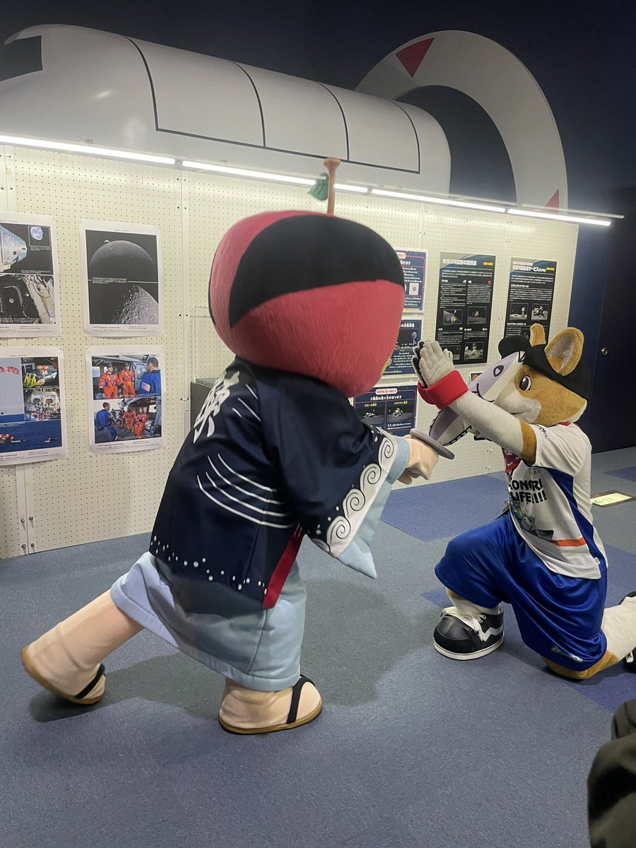 コギ坊 tweet media