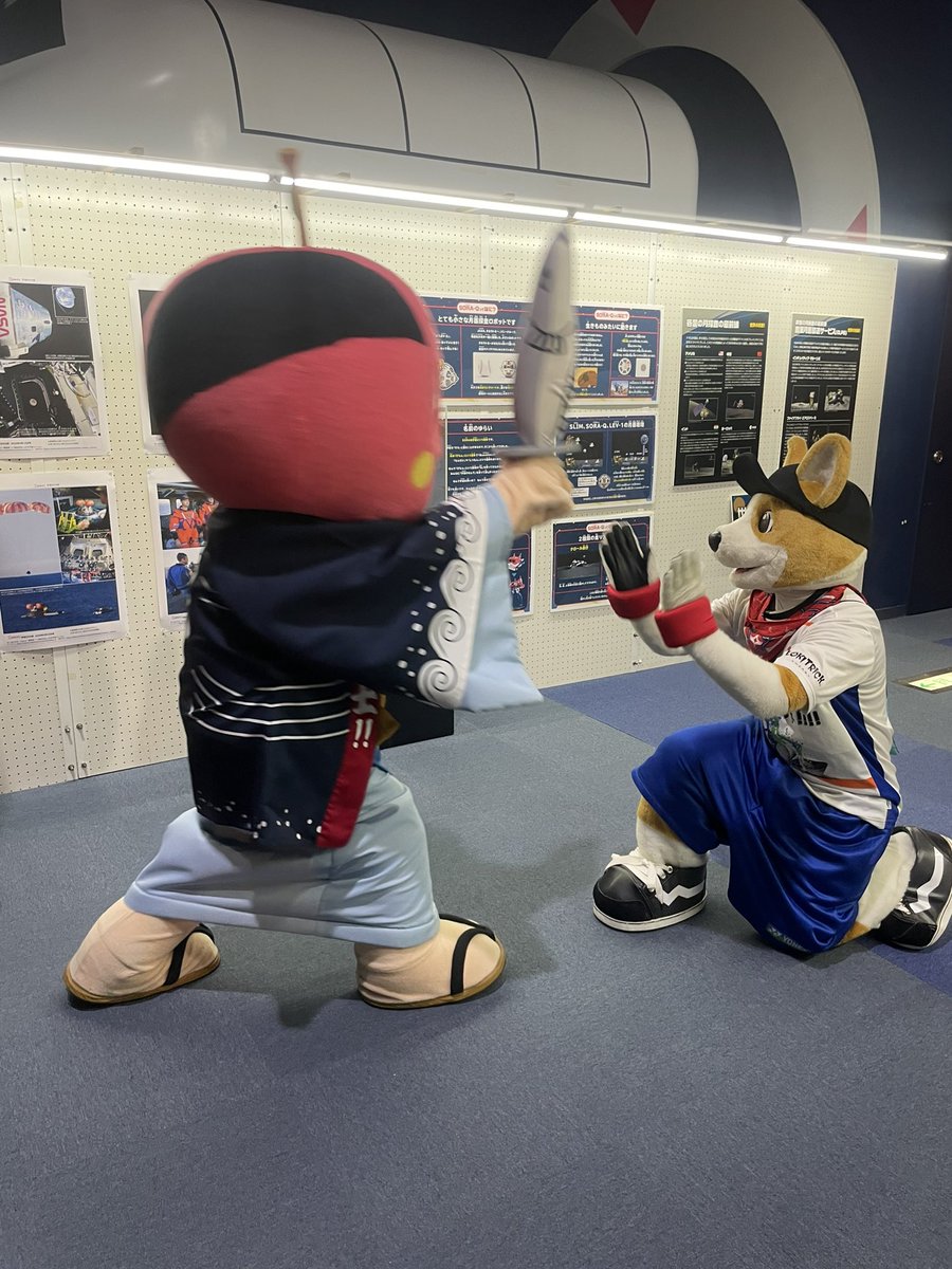 コギ坊 tweet media