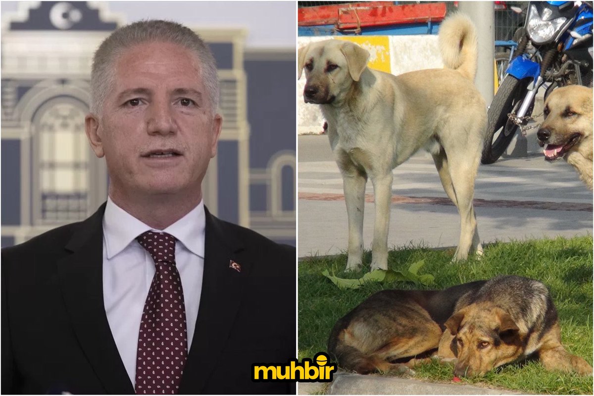 🎙️ Muhbir tweet media