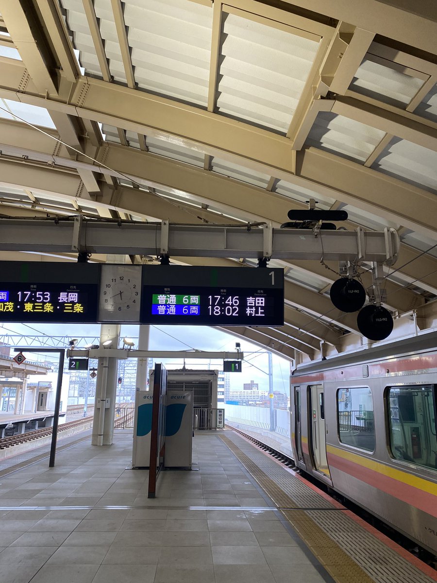 ラバーホイップ tweet media