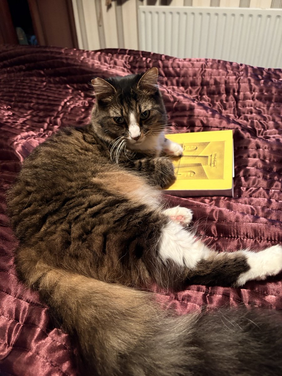 mjb8086's tweet photo. @costin_eats She approves your thesis. https://t.co/5AOk9KBkzV
