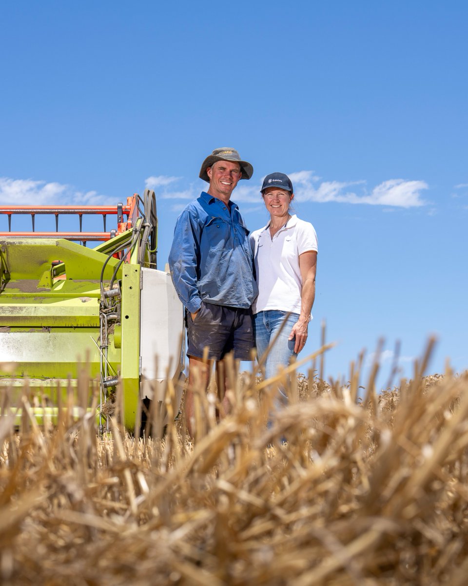 theGRDC's tweet photo. Grower Chela Dempster from Arrowsmith, WA, lets us know how season 2026 has begun in this GroundCover grower series update ▶️ https://t.co/SpJc6DnsB1
📷 Evan Collis/GRDC
#GrowerSeries #AgChat #Season2026 #agriculture https://t.co/2Z1oN9mFtd
