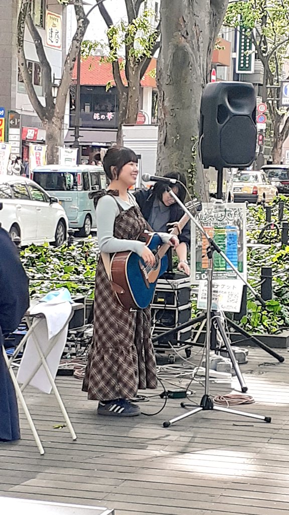 とうさいパピー *🐼 *🌶️ *🐸*（パピヨン） tweet media