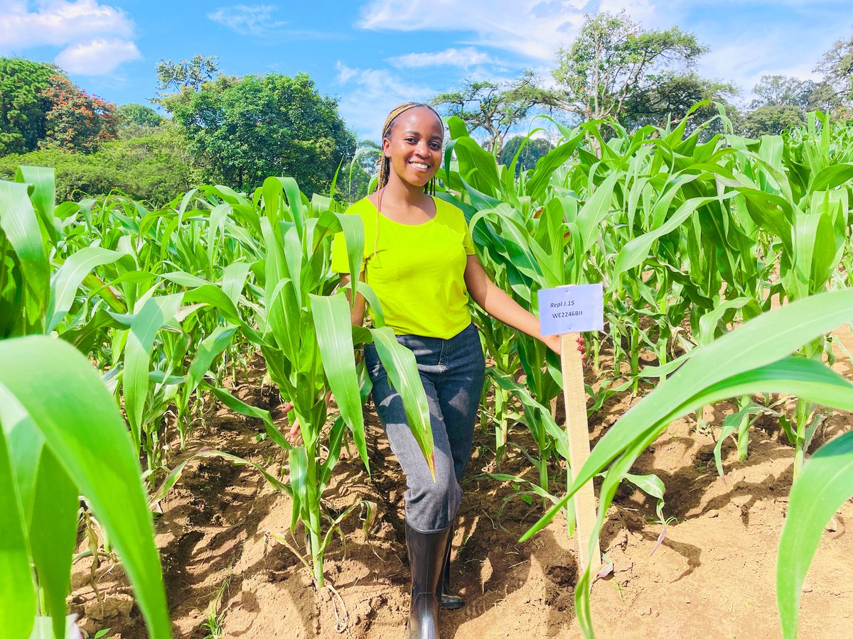 ShimoYvette's tweet photo. Farming is not for the weak.

Some days you win…
Some days you lose…
But every day, you must show up.

While others are sleeping,
a farmer is already thinking about:
 • feed
 • water
 • weather
 • market

💭 The question is:
Are you building a farm… or building a business?

Let’s go again this week 💪