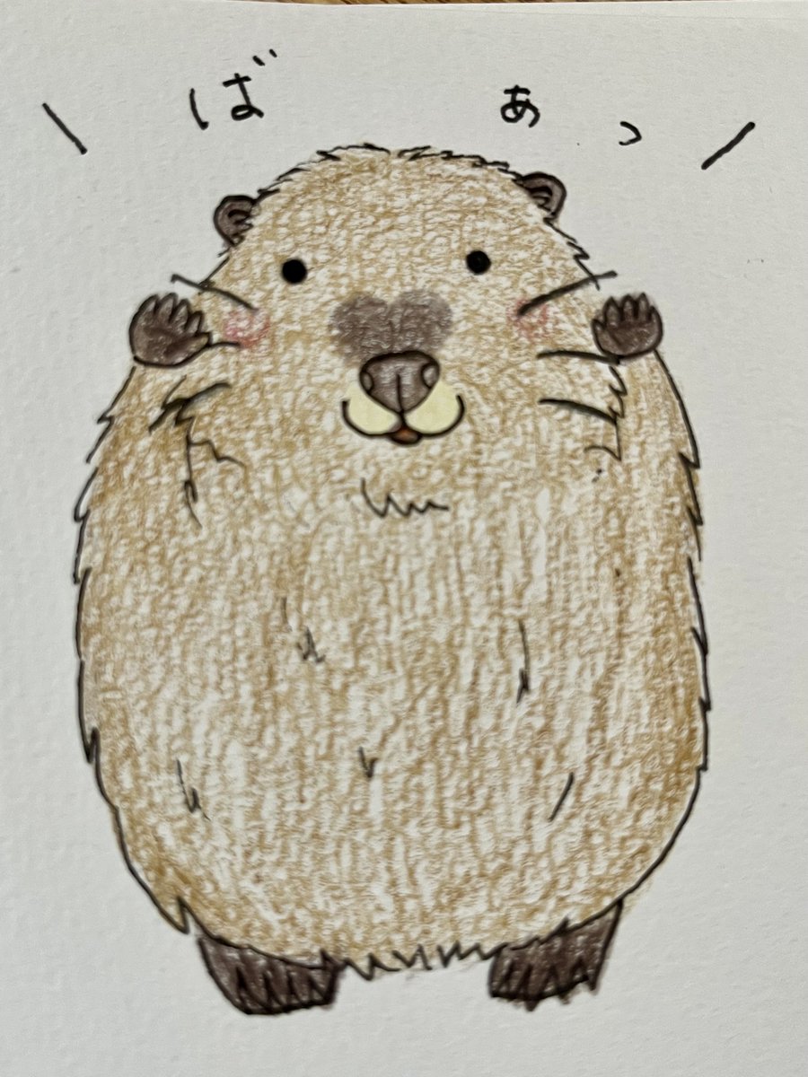 アメリカビーバー #お絵描き #イラスト ビーバーさんだよ🦫