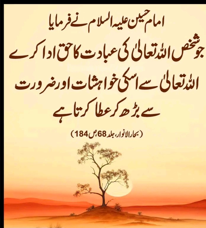 تطہیر فاطمہ tweet media