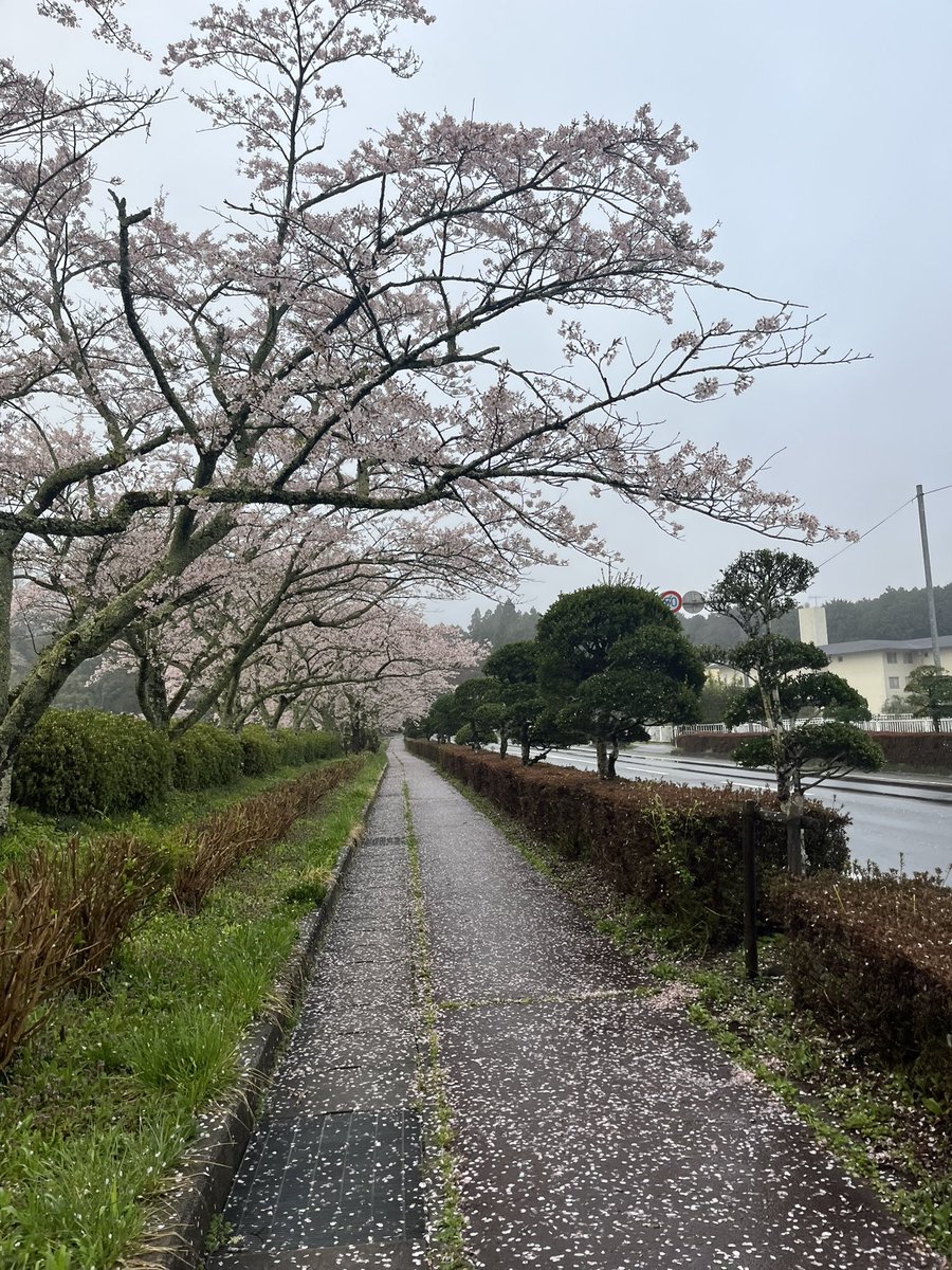 としみ🏃‍♀️ tweet media
