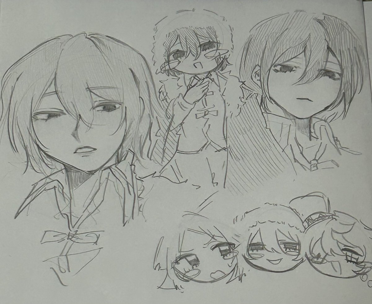 肴 tweet media