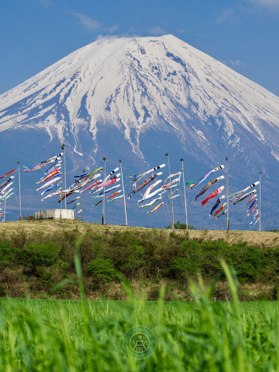 Toshi / Nature Photographer tweet media