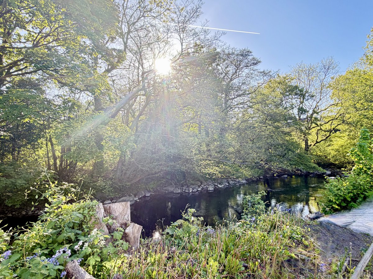 ItsYourWales's tweet image. Sun through the trees over River Cynon - wonderful Wales. Photo courtesy @EmmaLWales #Wales #WelshPassion