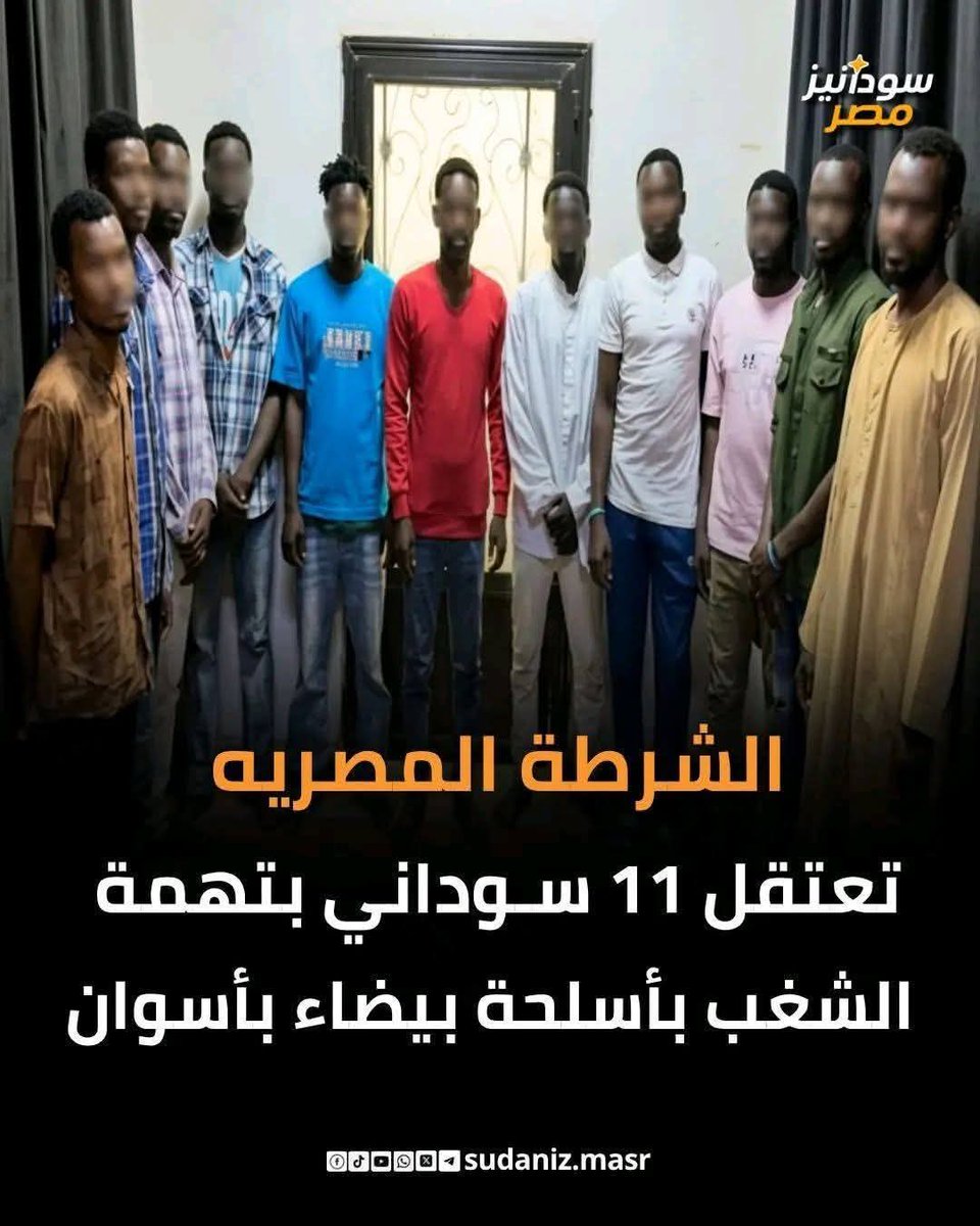 #αℓℓємвαу 157 🇪🇬🇪🇬 tweet media