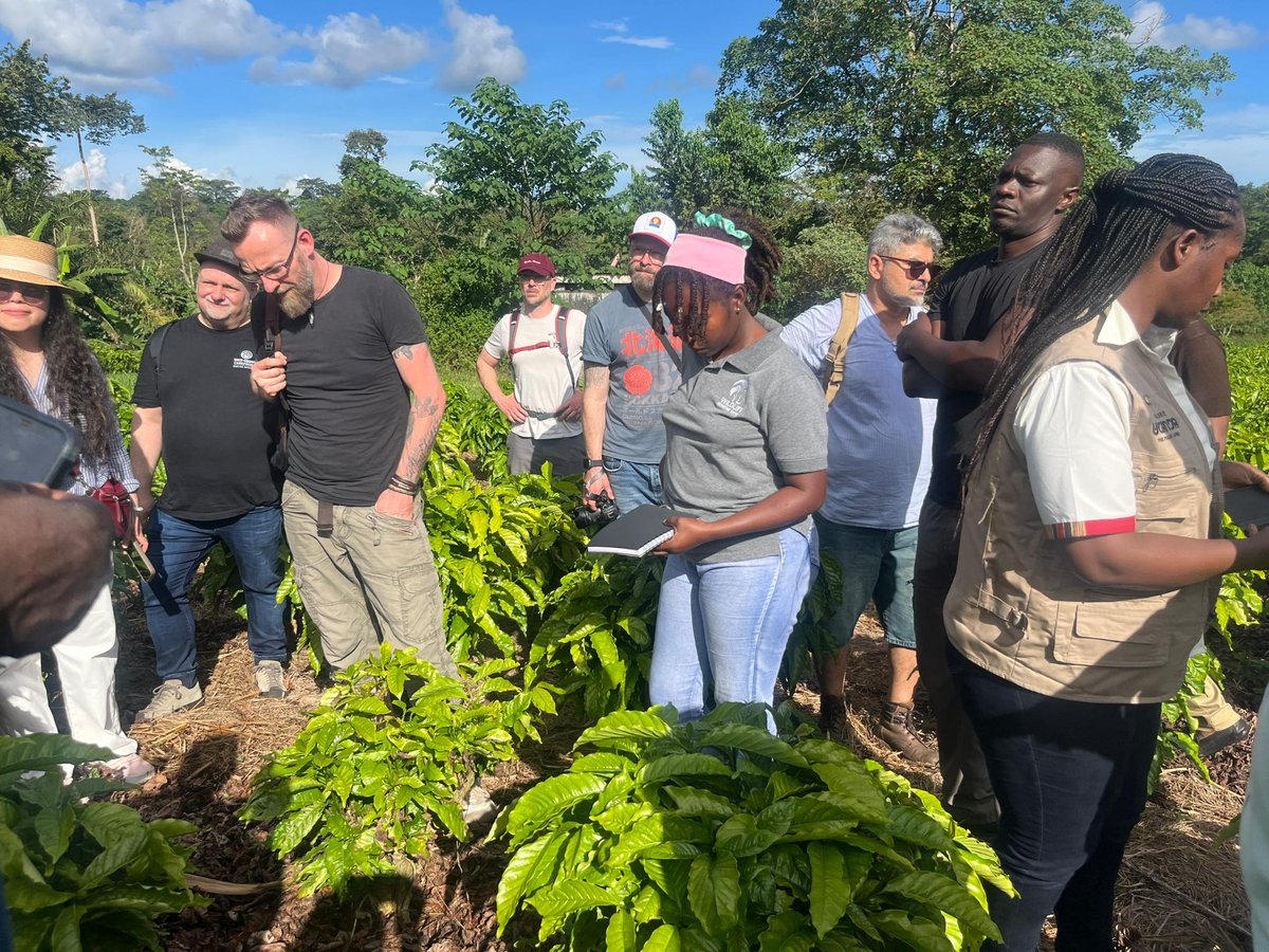 National Coffee Research Institute Uganda (NaCORI) tweet media
