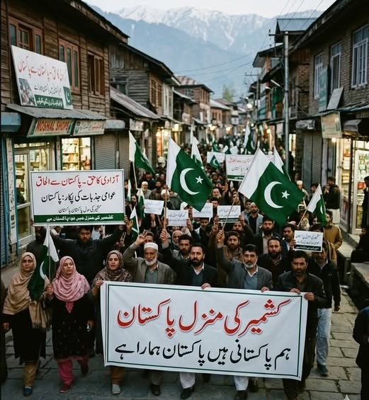 kashmiri35958's tweet image. #SindhCelebratesMarkaEHaq #PSLFinal #PZvHK #GreatRespectForPakistan #TremendousRespectForCDF