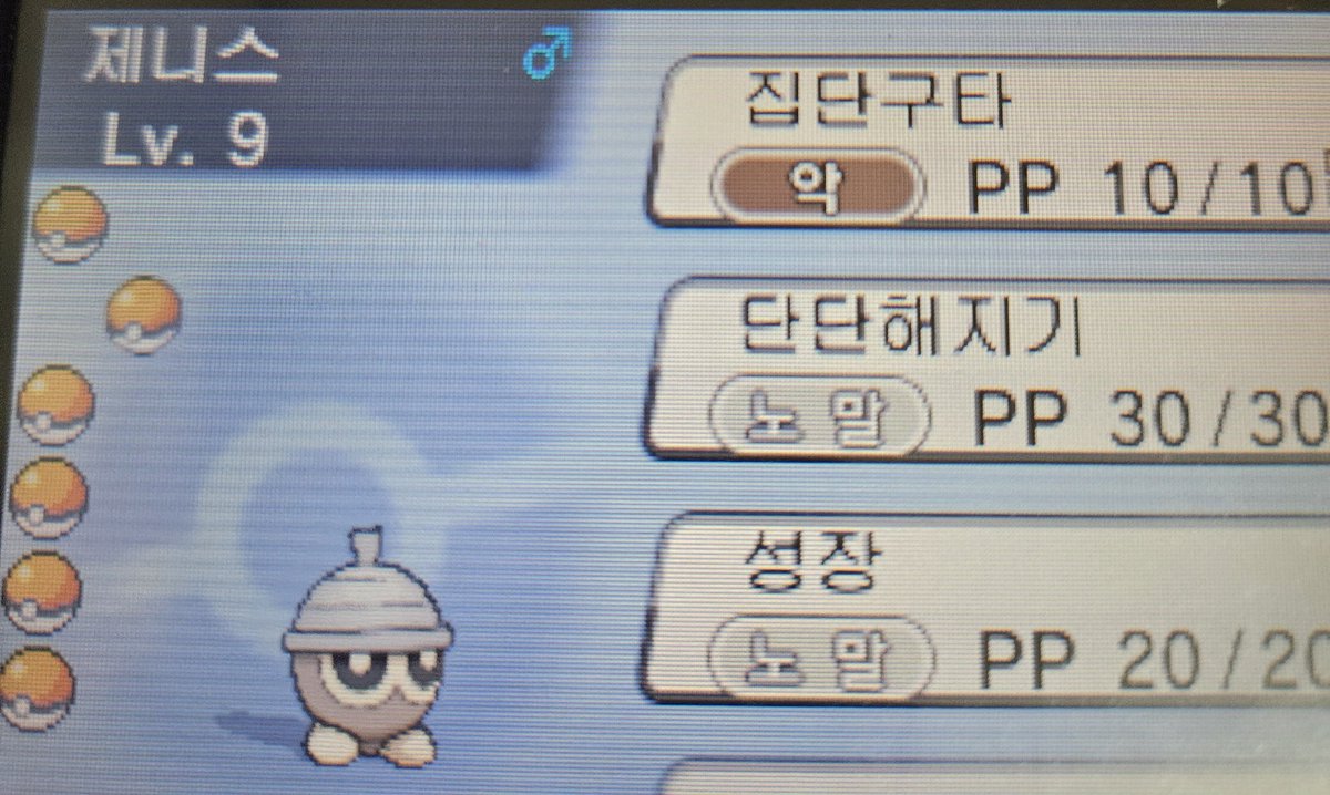 힐다 오너 세린 tweet media