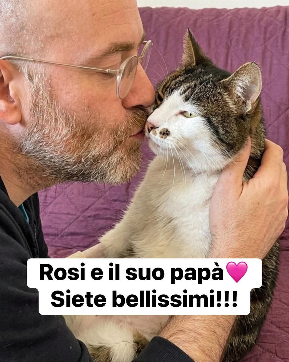 Francesco Borrelli tweet media