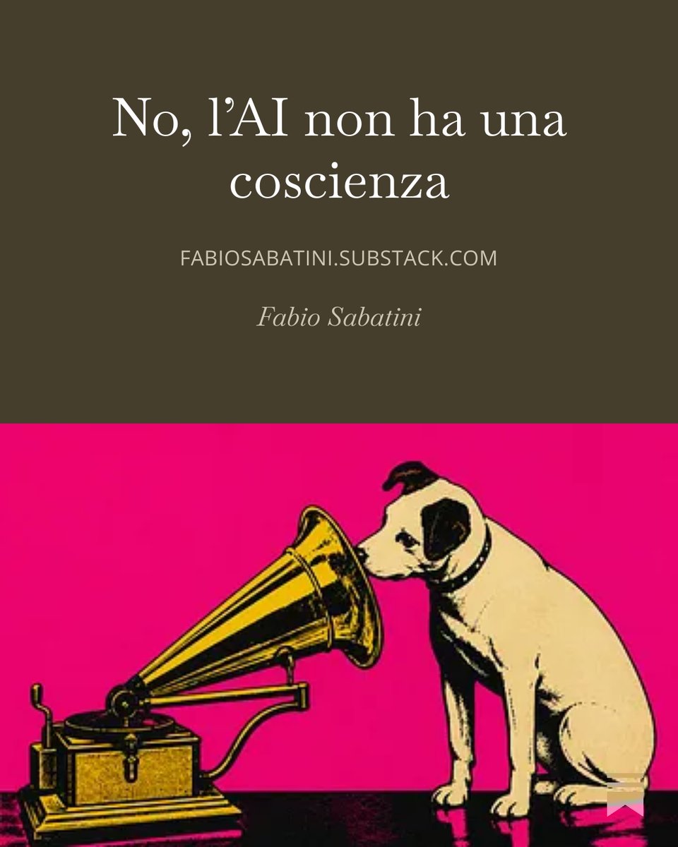 Il dibattito italiano sull'intelligenza artificiale è ancora al livello del cane che cerca il padrone dentro il grammofono.
Claude non ha una coscienza.
Non ha un'anima.
Non "riflette" sulla morte, sulla solitudine o sull'amore.
E nemmeno distruggerà il lavoro altamente