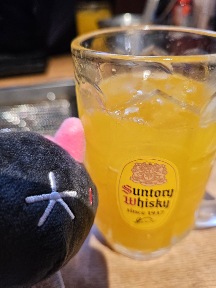 ぬこさん tweet media