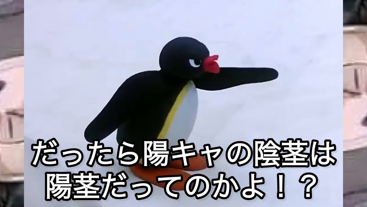 ブルーアーカイブピングーbot tweet media