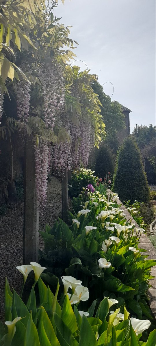 moroni_mario's tweet photo. #buongiorno #popolo https://t.co/Co9iqBy9oF