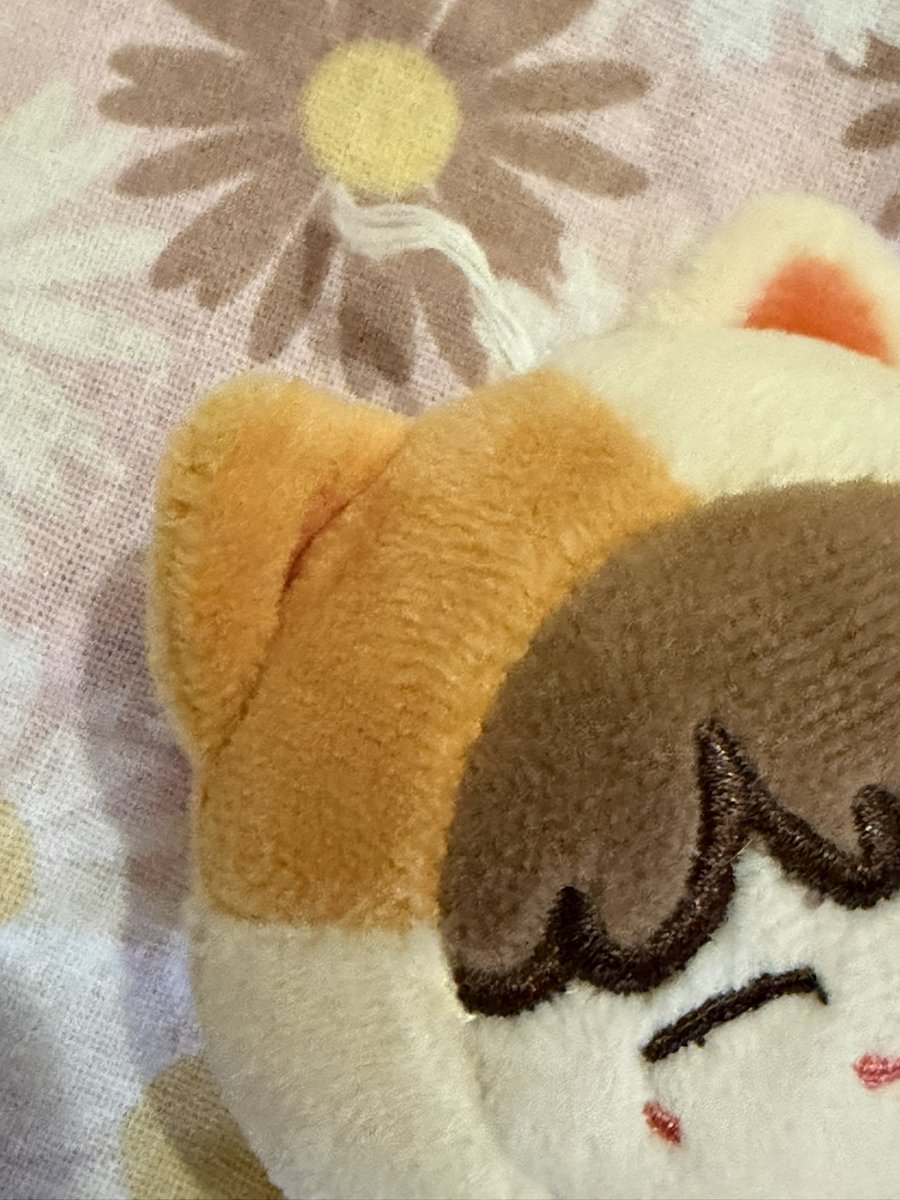 今日は入会一年記念山行として同期メンバーと須磨アルプスへ⛰️縦走してたら時間早すぎて開いてないお茶屋さんのカレーとケーキセット目当てにのんびりハイクしてきた。しかし途中、チーズジェちゃんの紐千切れて転げ落ちて慌てて拾ったけど後ろにつけてたら気づいてないかもと思うと怖いわぁ😱