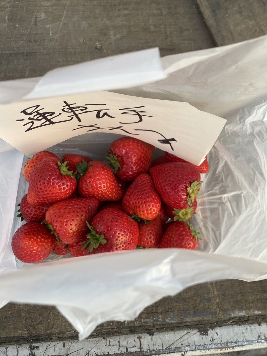 LSMH0814's tweet photo. 集荷行くと農家さんから頂けるから嬉しい👨‍🌾 https://t.co/Sd8DNPGCjw