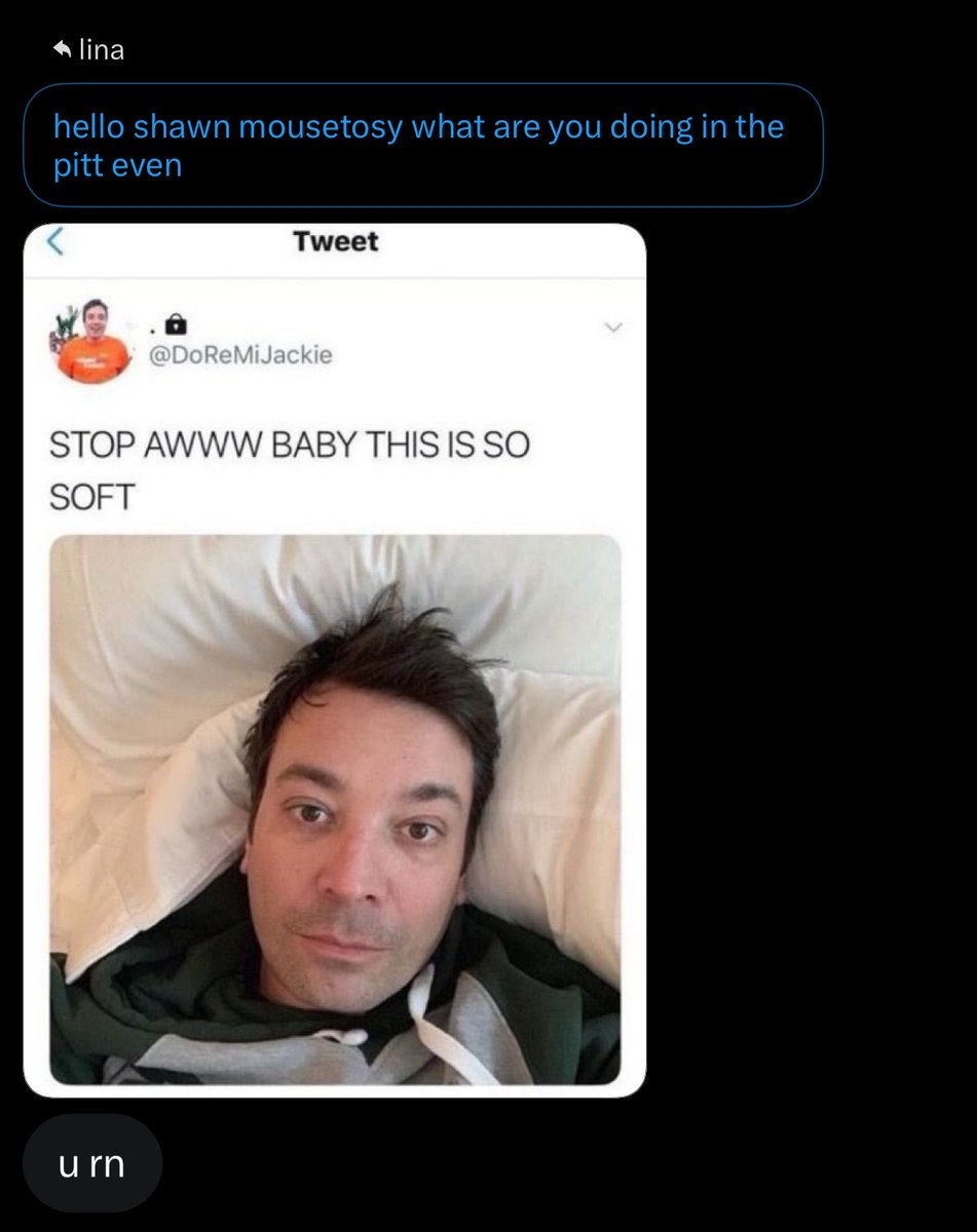 lina tweet media