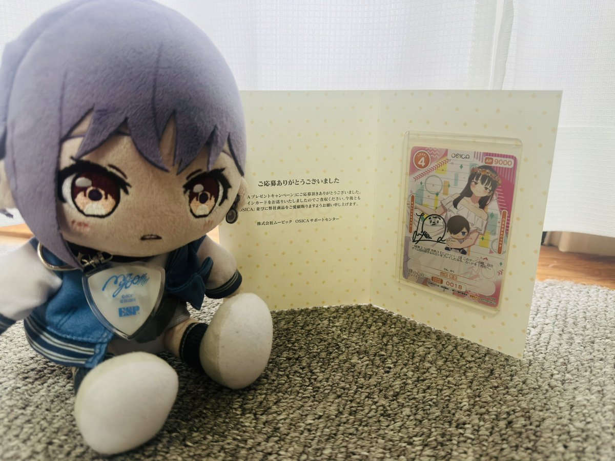 accocha.プロフ確認お願いします。 プロフ確認！様 リクエスト 7点 まとめ商品 【公式通販】