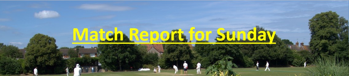 Horsham Trinity CC tweet media