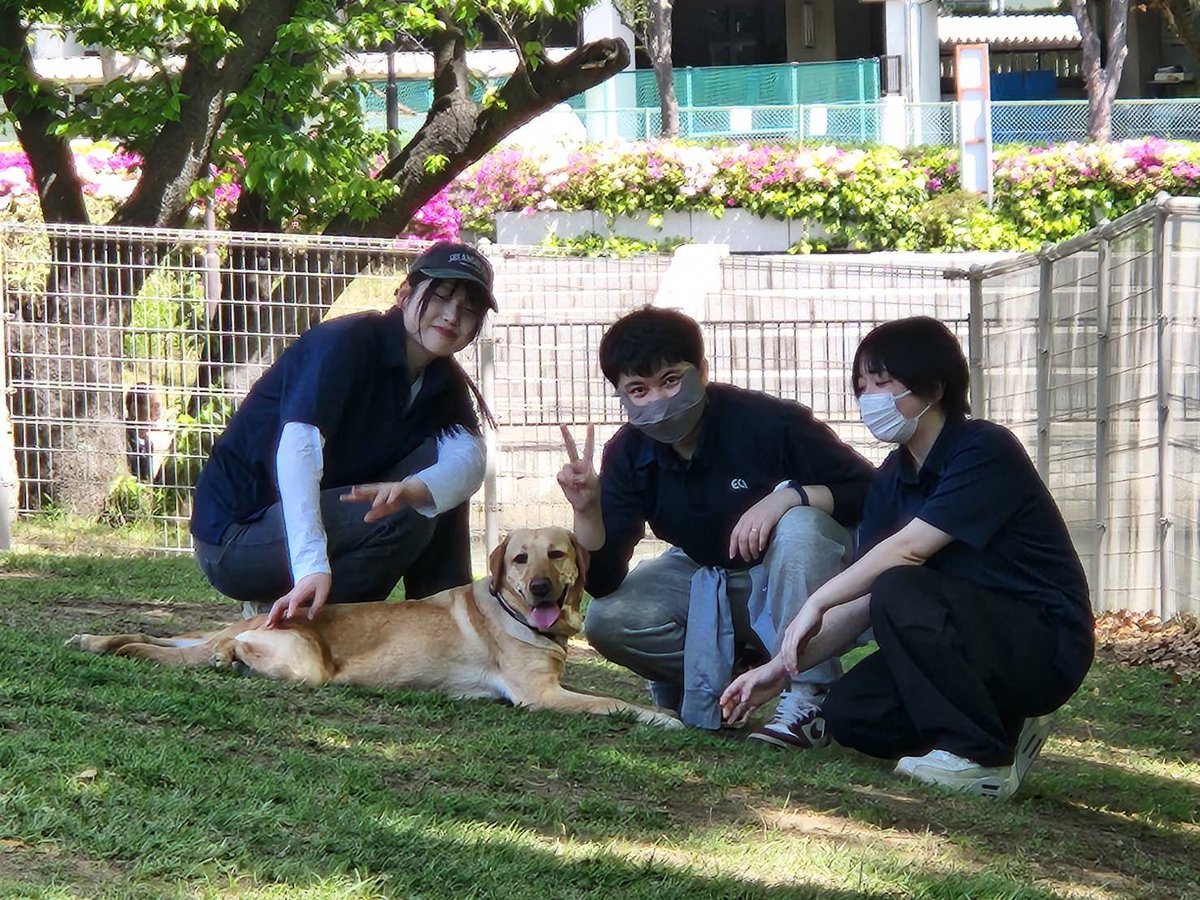 【公式】TCA東京ECO動物海洋専門学校 tweet media
