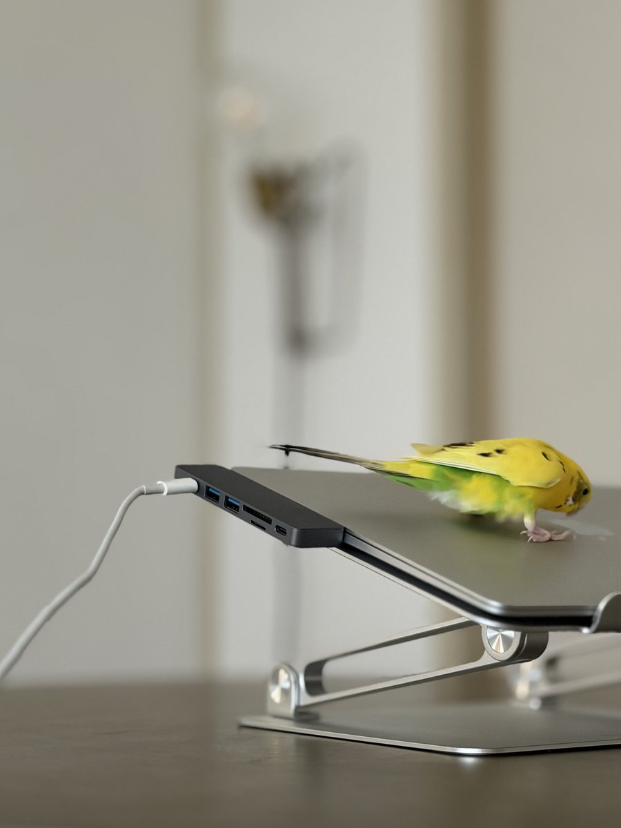 おー tweet media