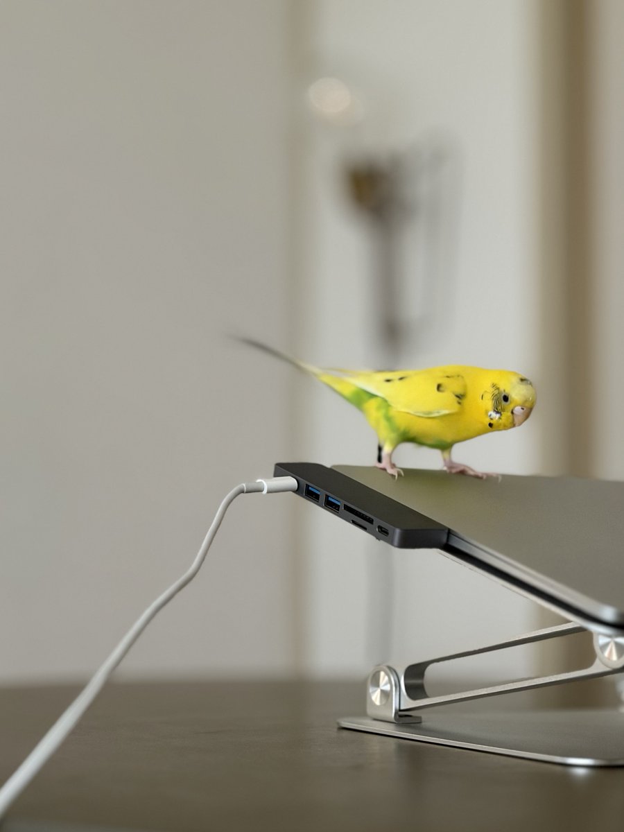 おー tweet media