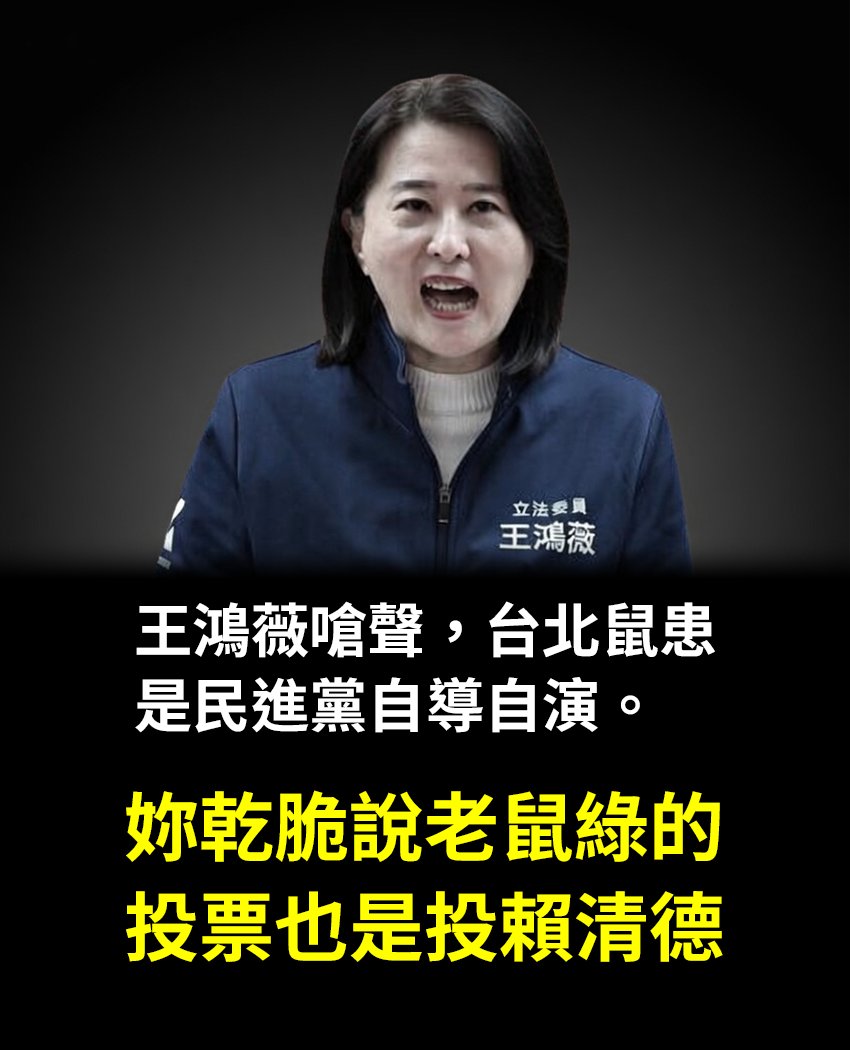 福爾摩沙向日葵 tweet media