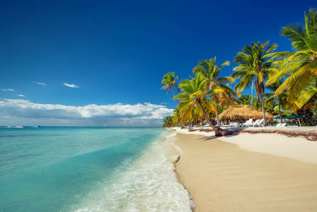 S0N_IA's tweet photo. D.E.P. GOOGLE FLIGHTS EN 2026.
D.E.P. BOOKING COM EN 2026.
D.E.P. SKYSCANNER EN 2026.

Vuelo de $1,190. Pagué $159.

✈️| Usa estos 7 prompts antes de reservar tu próximo viaje: https://t.co/ky8ZBWGCQi