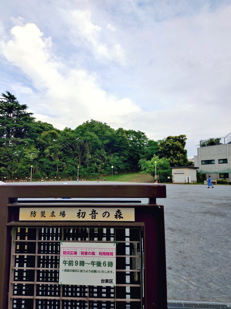 まるいねこ tweet media