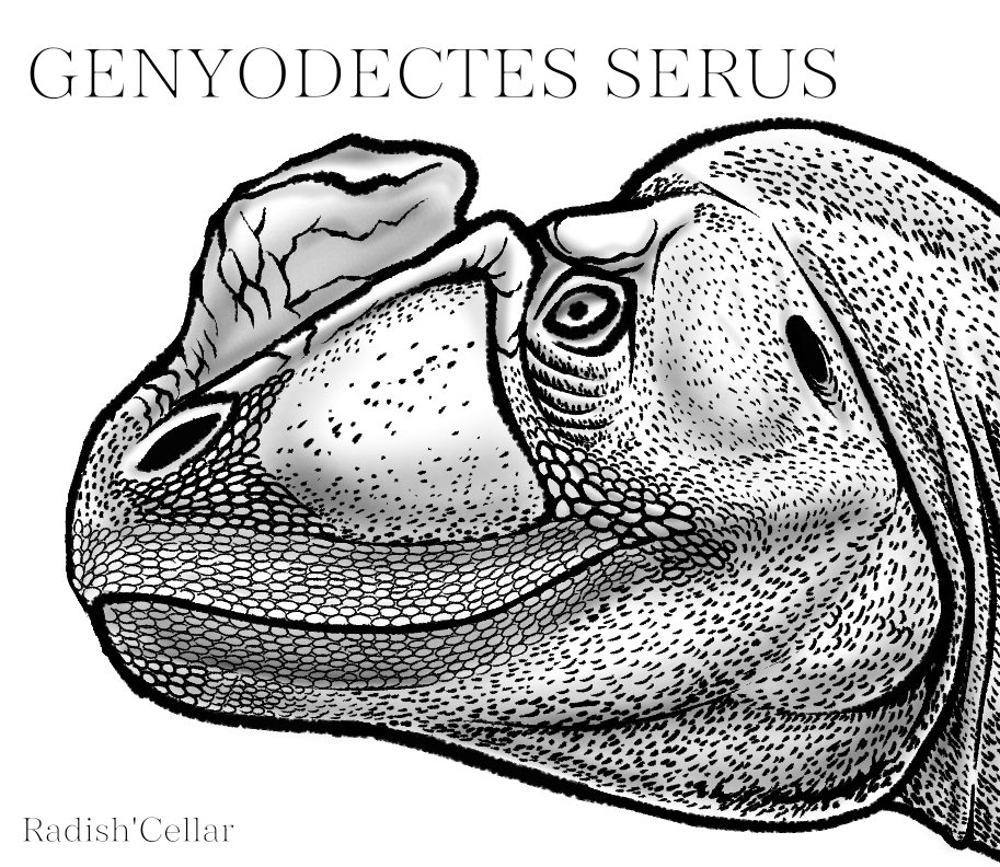 radishart's tweet image. That one cretaceous ceratosaur

#paleoart #dinosaur #theropod