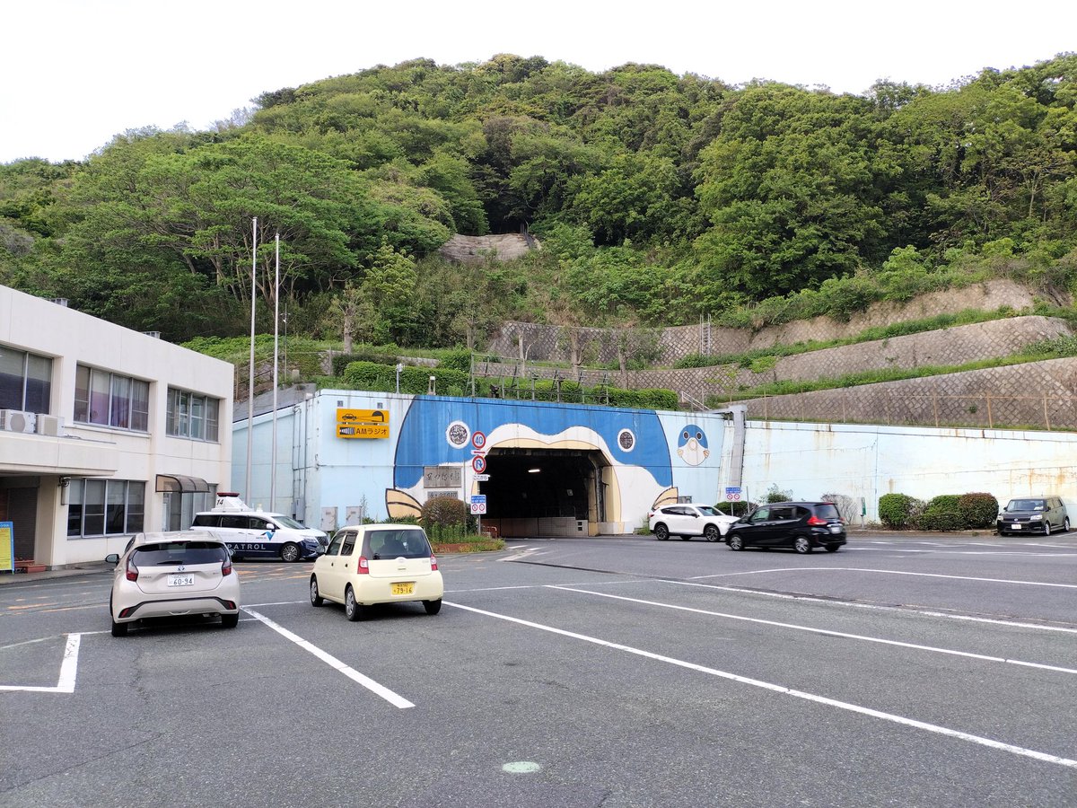 IZR（いずらん） tweet media