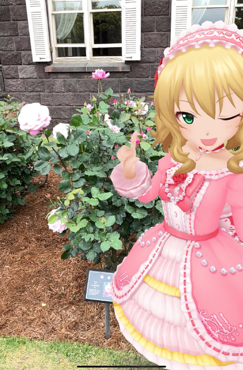 君影草@MBF17【（B）神奈川-10】 tweet media