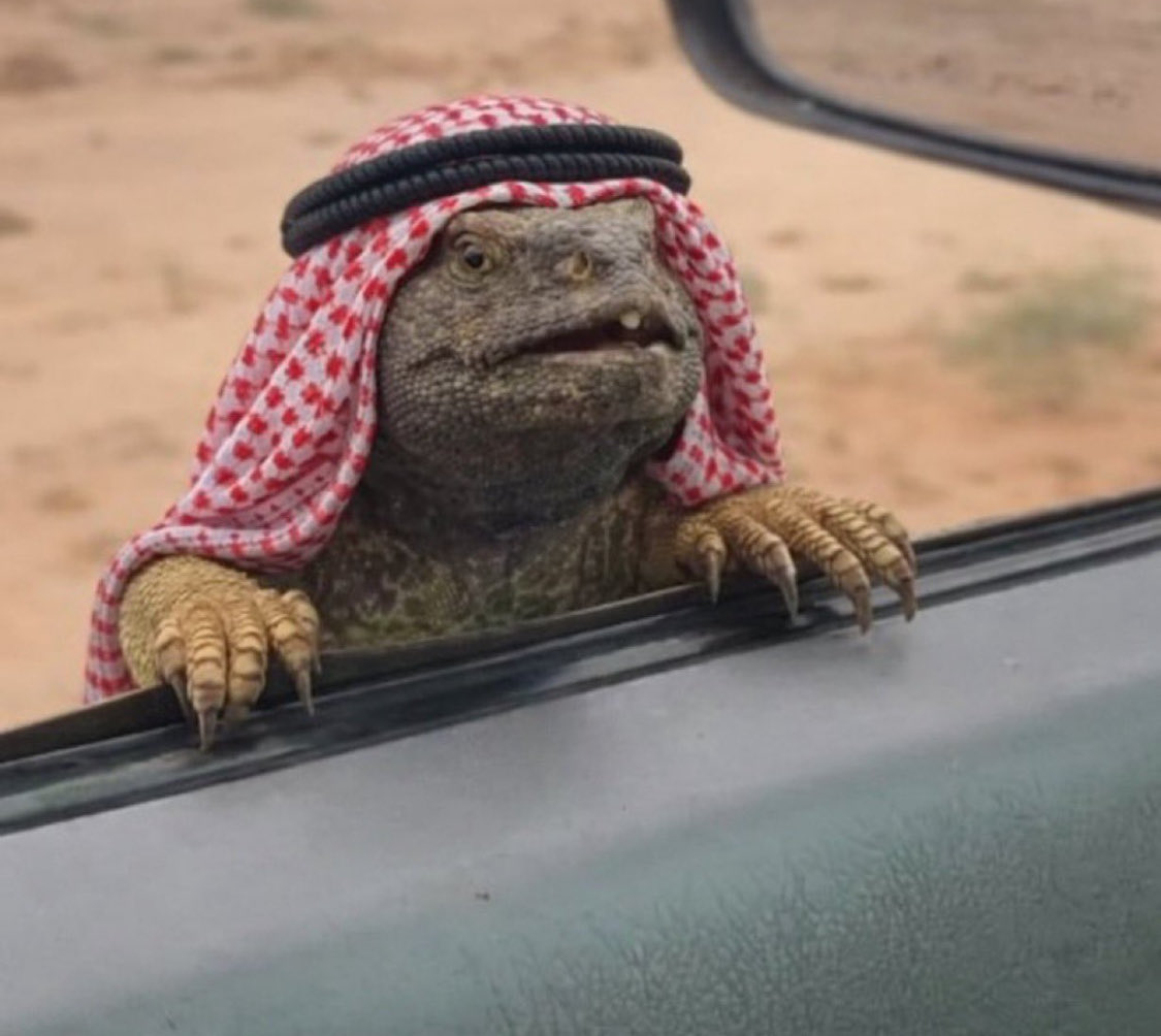🇦🇪علي tweet media