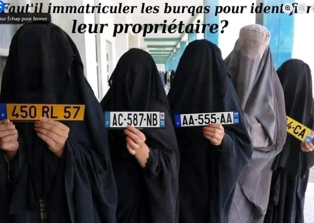 🇫🇷fabholv#merciNS🇫🇷 tweet media