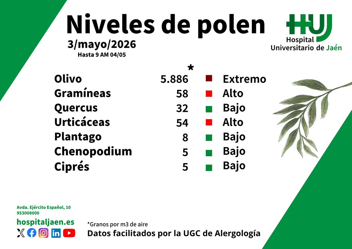 polen_jaen's tweet image. Telegram: t.me/polenjaen

#polen #alergia #Jaen #primavera