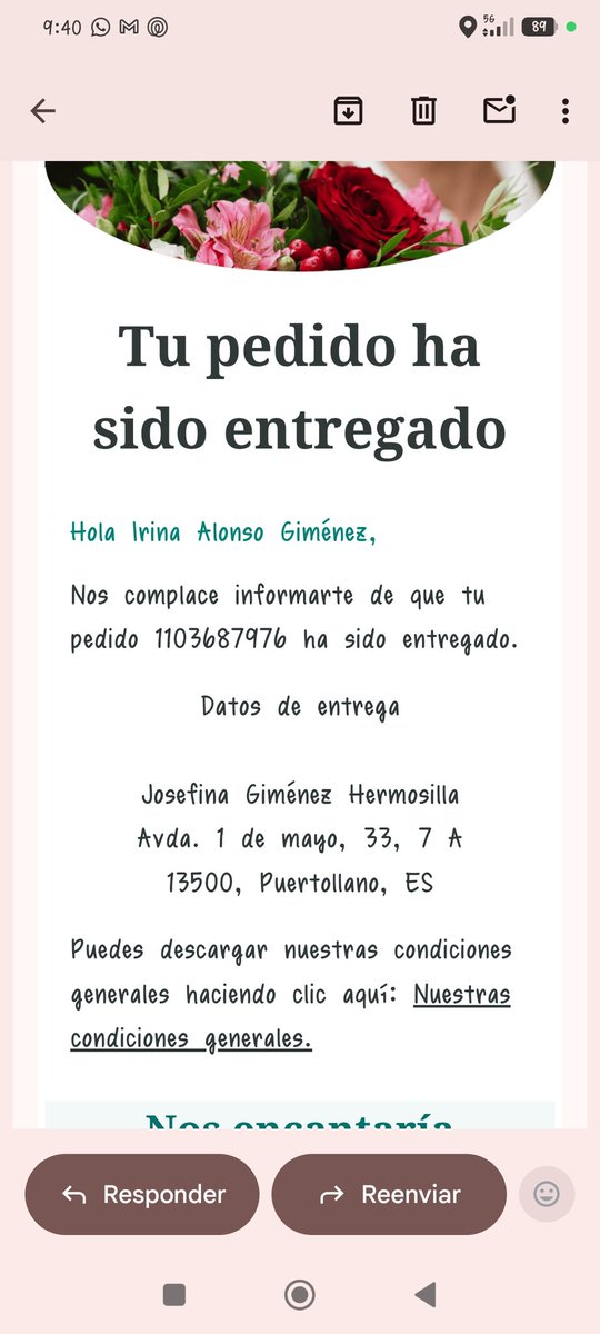 Irina Alonso Giménez tweet media