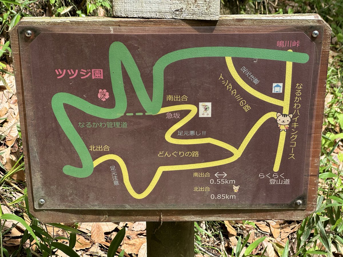 池浦　靖雄 tweet media