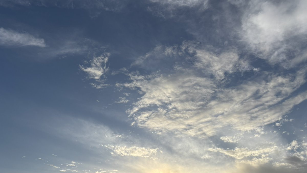 たのしいアップル tweet media